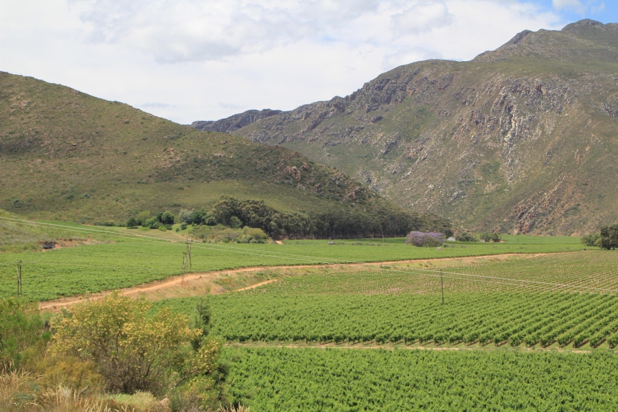 6 Bedroom Property for Sale in Ashton Western Cape